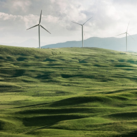 Investing in the Green Revolution